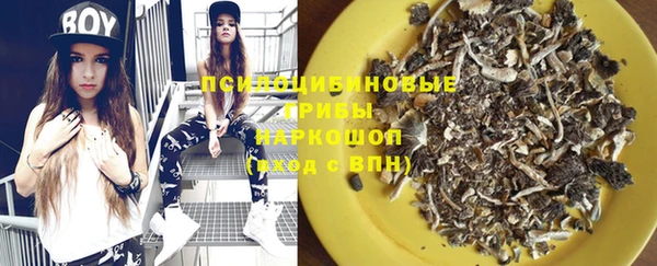 PSILOCYBIN Переславль-Залесский