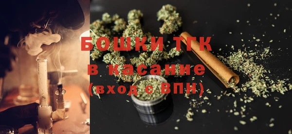 амф Пересвет