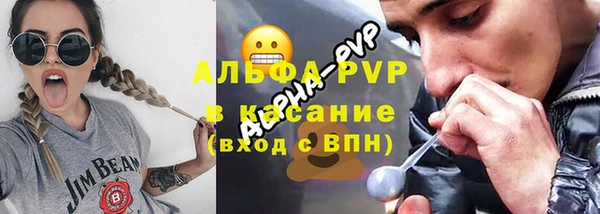 молекула духа Весьегонск