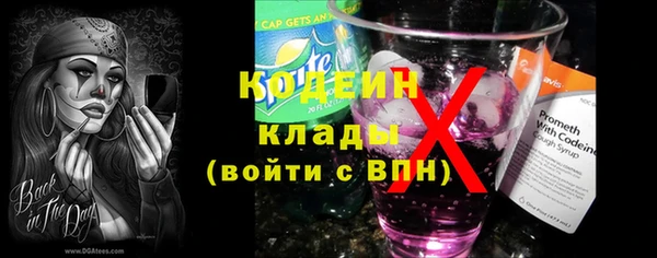 амф Пересвет